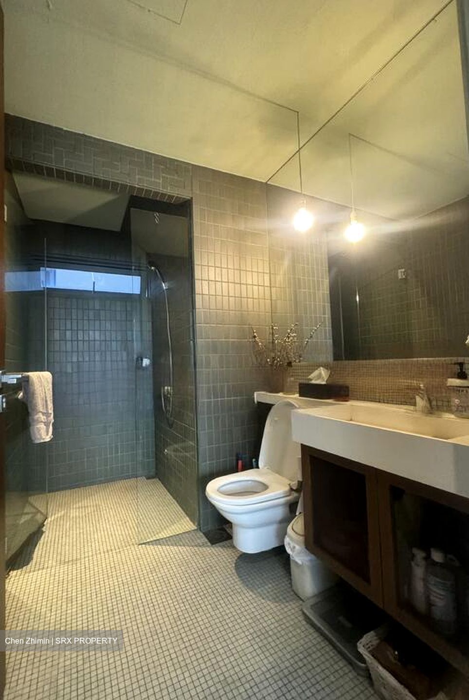 The Trizon (D10), Condominium #471703961